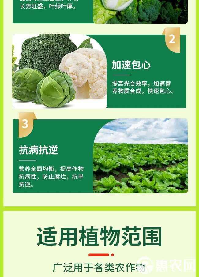 白菜甘蓝包心剂防腐抗病白菜专用叶面肥补充营养防腐包心剂抗寒