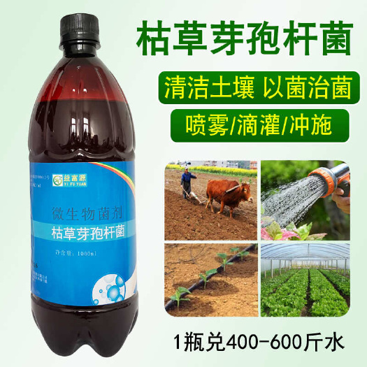郑州益富源种植枯草芽孢杆菌清洁土壤活化土壤黄叶板结重茬