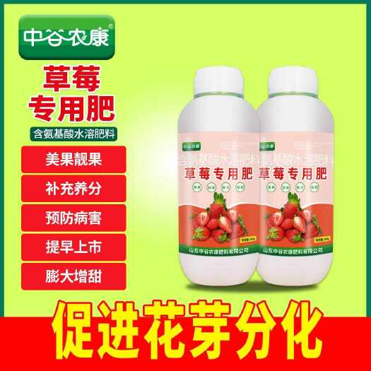 潍坊草莓专用肥美果靓果补充养分增强抗病免疫促花芽分化提高光合作用