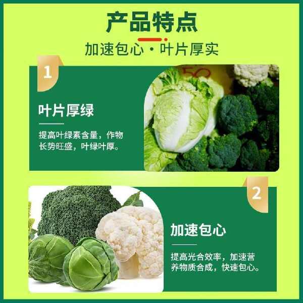 白菜甘蓝包心剂防腐抗病白菜专用叶面肥补充营养防腐包心剂抗寒