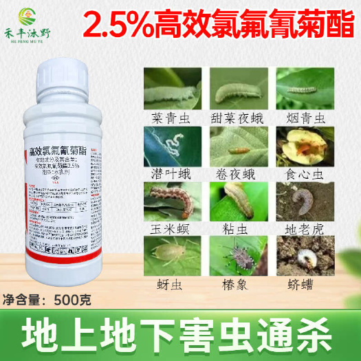 潍坊高效氯氟氰菊酯2.5% 功夫菊酯菜青虫食心虫等杀虫广谱