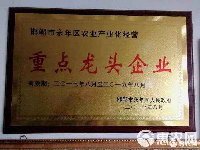 菌肥 豆粕有机菌肥 有机质50%，每克2亿菌