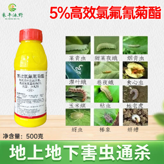 潍坊5%高效氯氟氰菊酯 广谱性杀虫剂 菜青虫食心虫等地上地下害虫