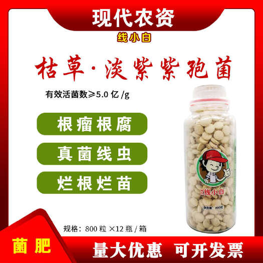 新沂市根结线虫药 淡紫紫孢菌颗粒根线虫大棚辣椒黄瓜果树根线虫药