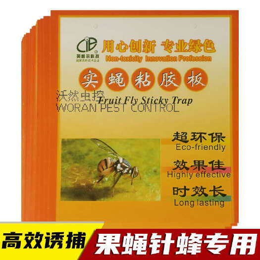 长沙英格尔实蝇粘胶板实蝇针蜂诱虫板粘虫黄板诱捕器诱粘剂果园瓜地用