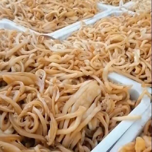 济南羊皮丝质量高价格实惠