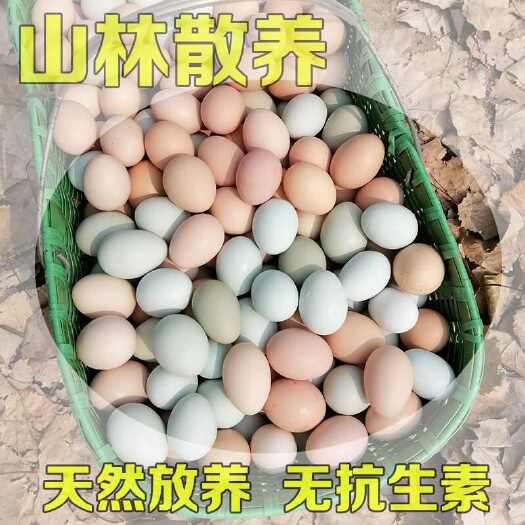 京山市精品粉绿混搭土鸡蛋江汉土鸡蛋乌鸡蛋，品质优先现捡现发