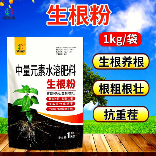 潍坊生根粉生根剂，根多根粗生根快生根养根