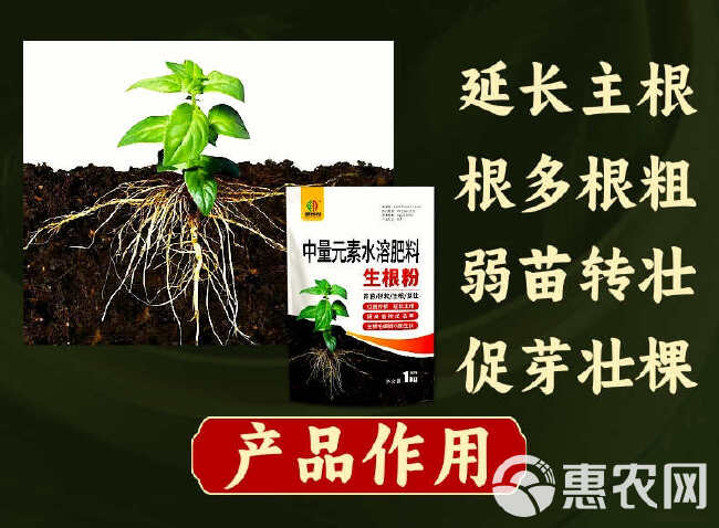 生根粉生根剂，根多根粗生根快生根养根