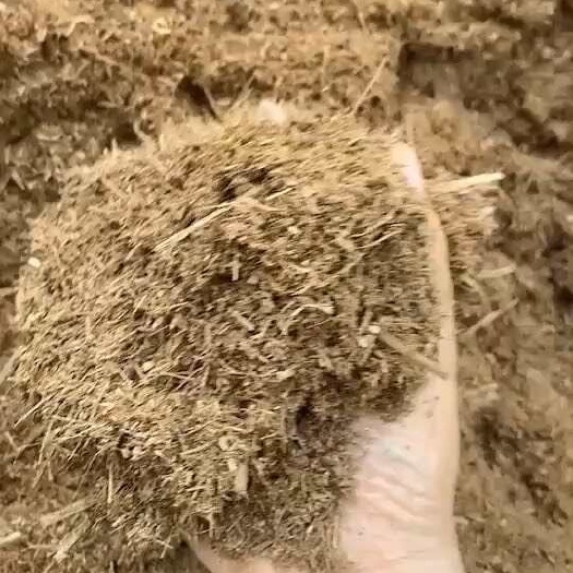 竹屑有机肥原料种竹孙原料有机直60左右水份35-40
