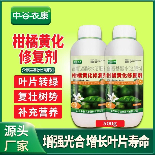 昌邑市柑橘黄化修复黄叶变绿增强光合柑橘缺素生理性黄叶果园果树橘子树
