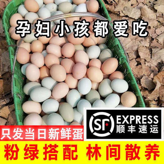 京山市40枚粉土鸡蛋绿壳乌鸡蛋新鲜现发月子宝宝山林农家散养