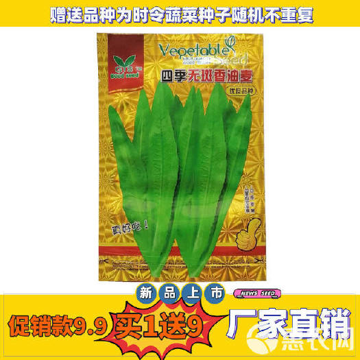 油麦菜种子高产生长迅速无斑油麦菜种籽大田家庭阳台蔬菜种子包邮