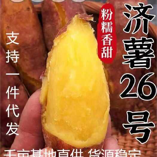 耿马县红薯批发香甜可口济薯26沙地红薯自种商用红薯基地新鲜现挖蜜薯