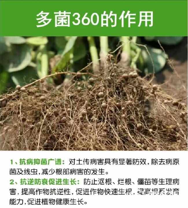 多菌改良剂360土壤修复剂复合微生物菌剂改善土壤通用型