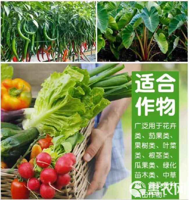 多菌改良剂360土壤修复剂复合微生物菌剂改善土壤通用型