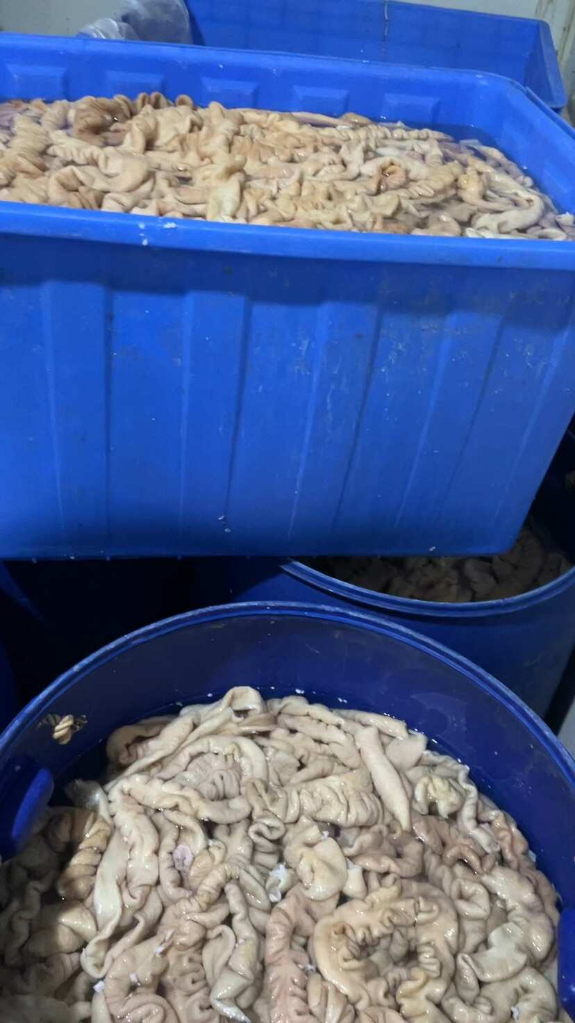 预煮大肠，去油80，90可以定做