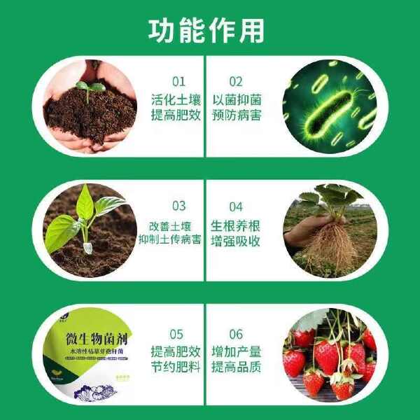 多菌改良剂360土壤修复剂复合微生物菌剂改善土壤通用型