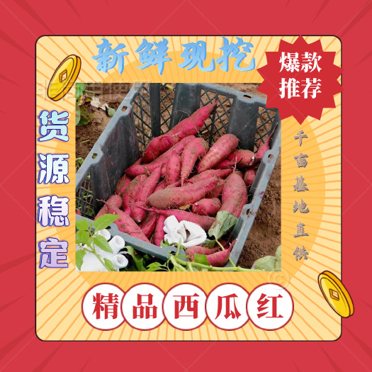 湛江西瓜红蜜薯 千亩基地直供 常年发货不停供 货品质量保