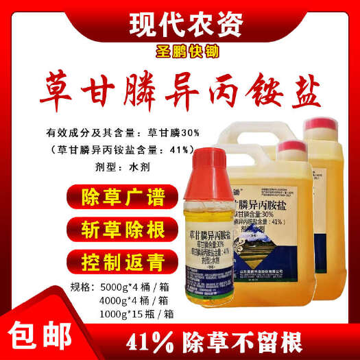 新沂市圣鹏41%草甘膦异丙胺盐农药除草烂根剂一扫光强力除草神剂灭杂