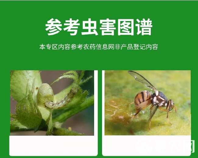 绿银除飞 15%高含量顺式氯氰菊酯家用公共场所针灭蝇蜂卫生杀