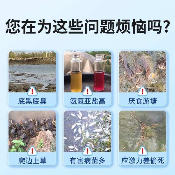 过氧化氢片改底增氧颗粒高含量强氧化鱼虾塘改底净水