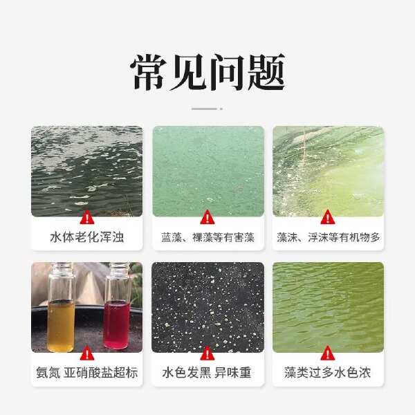 复合芽孢杆菌原粉降解亚盐氨氮硫化氢水产养殖用调水净水肥水