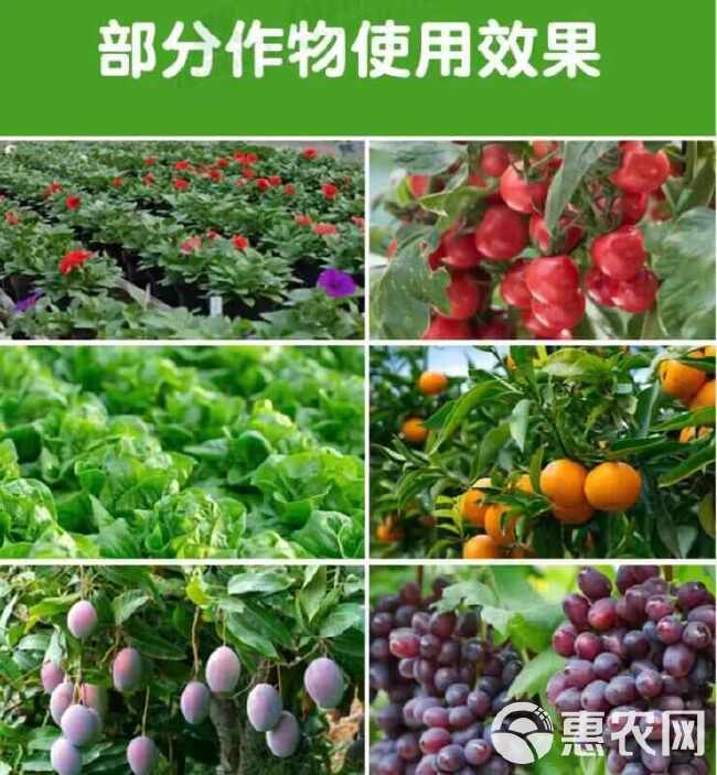 多菌改良剂360土壤修复剂复合微生物菌剂改善土壤通用型