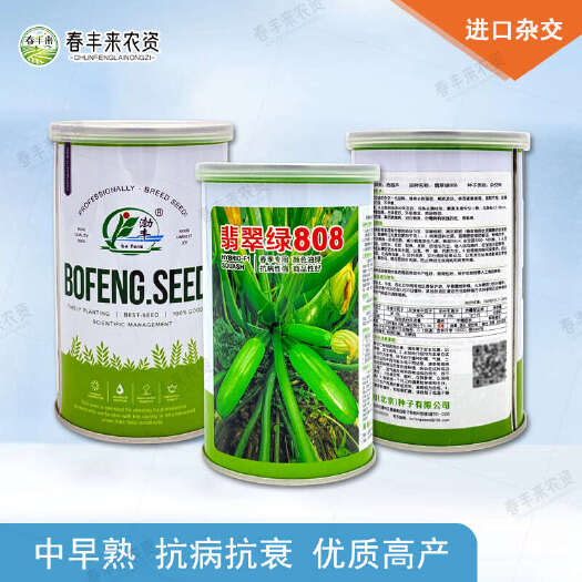 临沂渤丰翡翠绿808西葫芦种子荷兰引进翠绿油亮长圆柱形瓠瓜种籽高