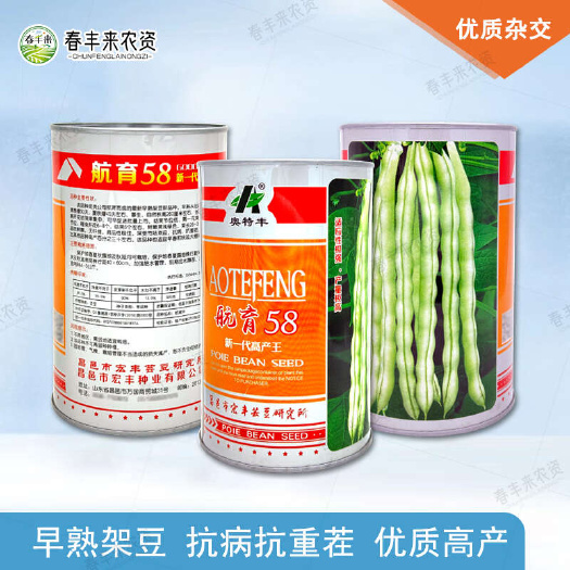临沂奥特丰航育58早熟架豆芸豆种子抗病抗重茬高产新品种