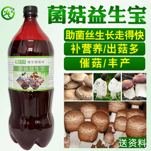 郑州巴西菇营养液菌菇益生宝香菇竹荪催菇生长素肥料羊肚菌水溶肥