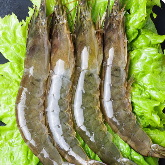 阳江白虾