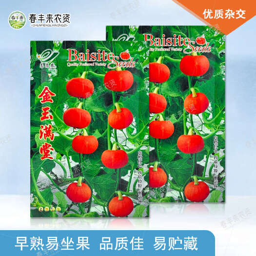 临沂南瓜种子金玉满堂早生易座果平均单果重600克左右