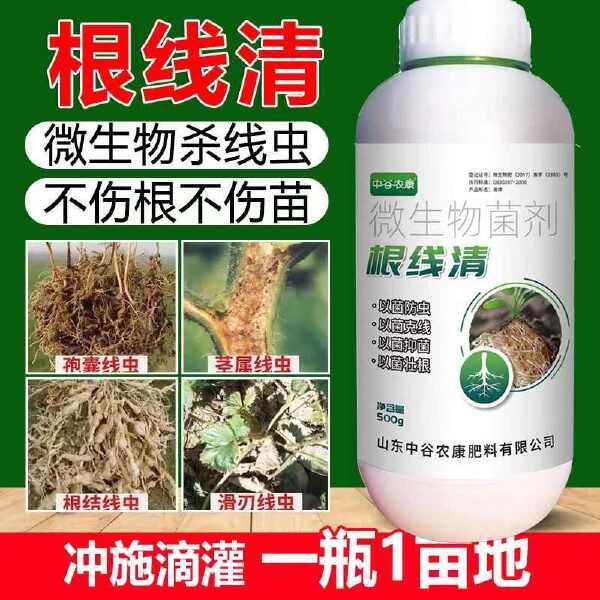 根线清淡紫紫孢菌长枝木霉菌根线虫根瘤菌根腐病专用菌肥