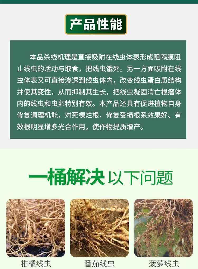 根线清淡紫紫孢菌长枝木霉菌根线虫根瘤菌根腐病专用菌肥