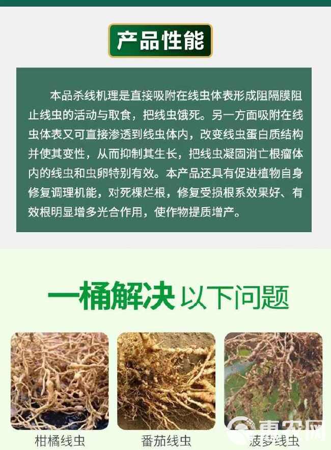 根线清淡紫紫孢菌长枝木霉菌根线虫根瘤菌根腐病专用菌肥