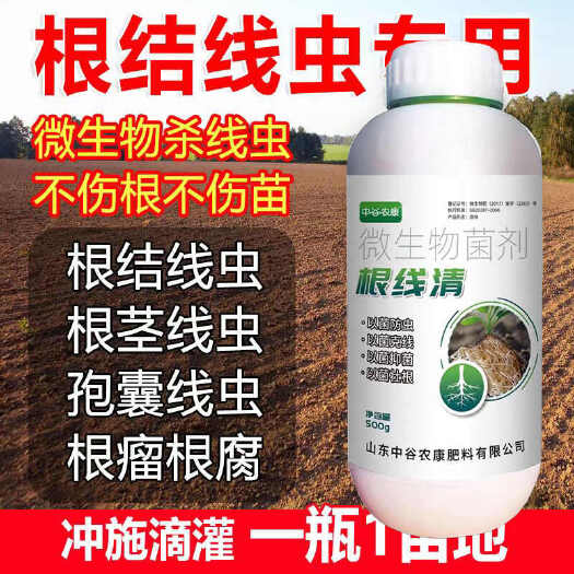 根线清淡紫紫孢菌长枝木霉菌根线虫根瘤菌根腐病专用菌肥