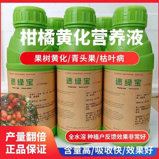 桂林速绿宝黄化营养液全水溶不堵针柑橘沙糖桔橙柚吊瓶专用药