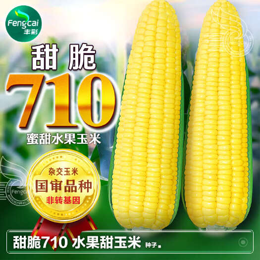 甜脆710蜜甜水果玉米杂交种审定编号:国审玉20200509