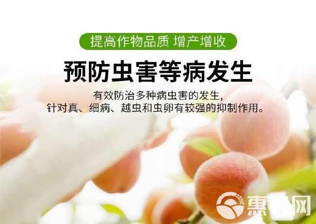 清满园杀菌剂果树清园剂杀虫卵抗病防虫微生物菌