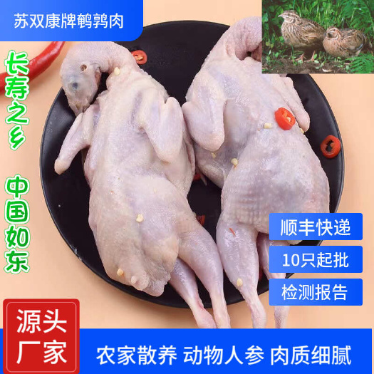 无抗生素现杀特大白条鹌鹑肉