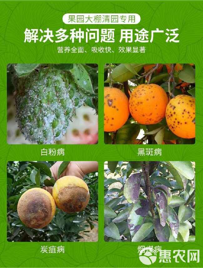 清满园杀菌剂果树清园剂杀虫卵抗病防虫微生物菌