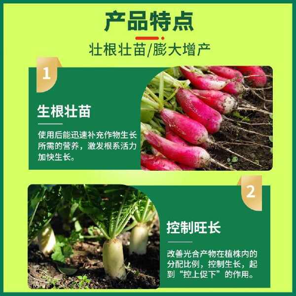 萝卜专用肥萝卜膨大素膨大防裂控旺叶面肥萝卜地下猛长根茎膨大