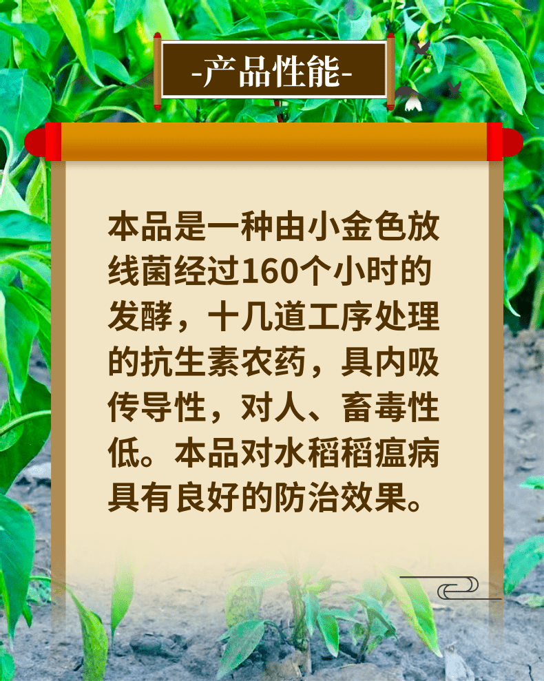 6%春雷霉素稻瘟病角斑病溃疡病青枯病真细菌杀菌剂