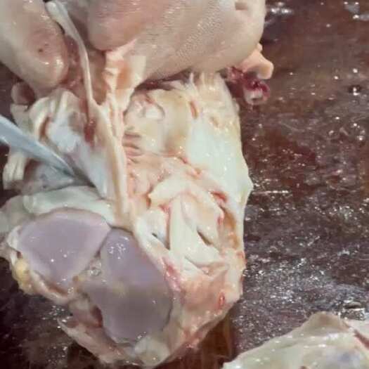 汕头棒骨筋