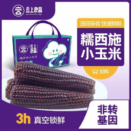 云南西双版纳“云上良品”糯西施小玉米，满满的花青素！