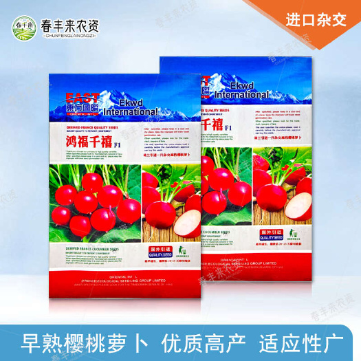 樱桃萝卜种子 生吃脆甜水果萝卜种子皮薄而鲜红肉白小萝卜