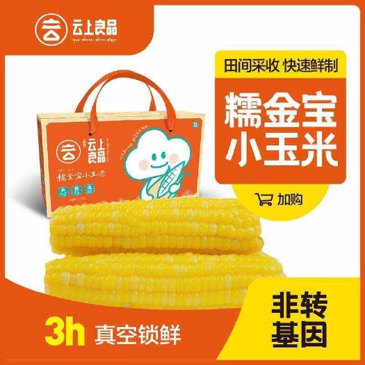 云南西双版纳“云上良品”糯金宝小玉米，金黄小巧，宝妈！