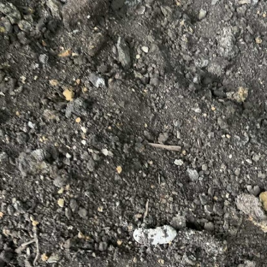 贵港蚯蚓粪处理，因场地到期