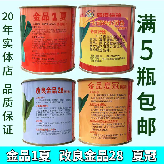 广州金品夏冠青梗菜种子，上海青种子，改良28，耐热耐雨水，基地用